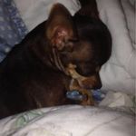 Kathy Powell - @kathy.powell.92372 - Instagram