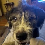 Kathi Price - Facebook