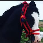 kathi queen_2 - @kathiba.queen_2 - Instagram