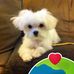 Kathi Reed - Facebook