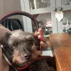 Katie Reed - @katiereed6016 - TikTok