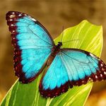 Kathy Rice - @kathy.rice.5285 - Instagram