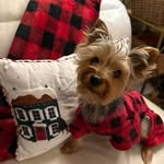 Kathi Nicely Richards - @kathi1206 - Instagram