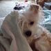 Kathi Roach - Facebook