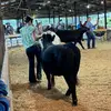 Katie Robinson - @katie_robinson_3030 - TikTok
