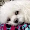 Kathi Rodriguez - @kathi.rodriguez6 - TikTok