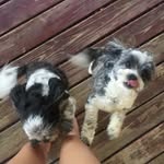 Kathi Ross - @kathi899 - Instagram