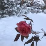 Kathy Ryan - @kathy.ryan.grandy - Instagram
