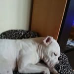 Kathi Schmidt - @kathischmidt0302 - Instagram