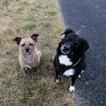 Kathi Schmidt - @schmidtkatharina1 - Instagram