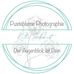 Pusteblume- Photography by Kathi Schmidt - Facebook