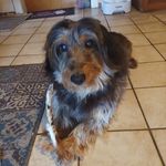 Kathi Schmitt - @kathi.schmitt.372 - Instagram
