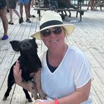 Kathi Schmitt - @glassrootsvintage - Instagram