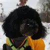 Kathi Schmitz - @kathischmitz3 - TikTok