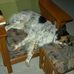 Kathy Schutt - Facebook