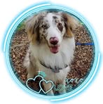 Kathy Sluder - Facebook