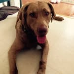 Kathy Wenzel - @kathy30k - Instagram