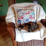 Kathy Wenzel - @wenzel1762 - Instagram