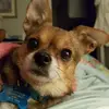 kathiyork5 - @kathiyork5 - TikTok