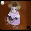 Kathia_Ramirez - @kathia_ramirez4 - TikTok