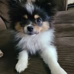 Kathie Baker - @katherinebaker362 - Instagram