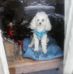 Kathie Bean - Facebook