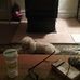 Kathie Bean - Facebook