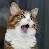 Kathie - @kathiecampbell - TikTok