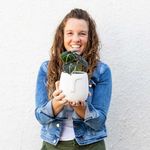 Katie Casey Designs - @katiecaseydesigns - Instagram