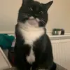 Kathi Clark - @kathi.clark8 - TikTok