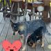 Katie Donovan - Facebook