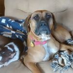 Katie Dotson - @kt_dots - Instagram