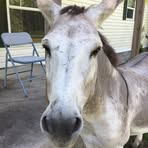 Kathie Long - Facebook