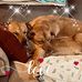 Kathie Marks - Facebook