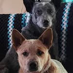 Kathie Morris - @kathie.1951 - Instagram