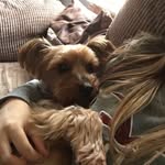 katie morrow - @katiemorrowspam - Instagram