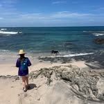 Katie Morrow - @triathlemom - Instagram
