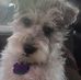 Katie Pace - Facebook