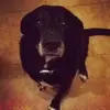 Kathie - @kathieryantanler - TikTok