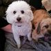 Kathie Ryan - Facebook