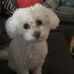 Kathie J Ward - Facebook