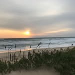 Kathie Ward - @kathieward14 - Instagram