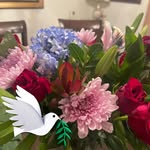 Kathie Ward - @kyoward - Instagram