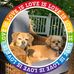 Kathie Ward - Facebook