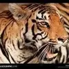 Kathie Ward - @kathie.ward57 - TikTok