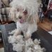 Kathie Wolfe Woods - Facebook