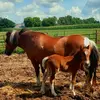 Kat Yoder - @kat.yoder - TikTok