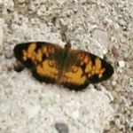 Katie Elizabeth Yoder - @_katie.yoder_ - Instagram