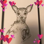 Kathy Ables - @kathleenables1106 - Instagram