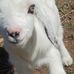 Kathleen Applegate - Facebook